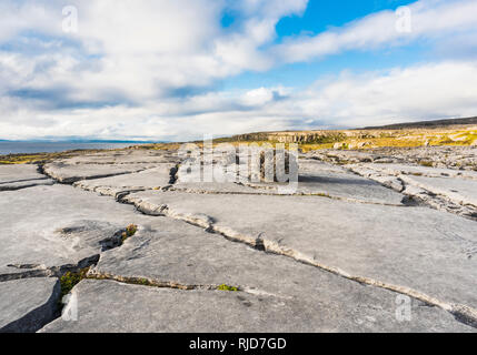 Glatte Kalkstein Pflaster mit findling an Poulsallagh in der Nähe der Atlantikküste des Burren, County Clare, Irland Stockfoto