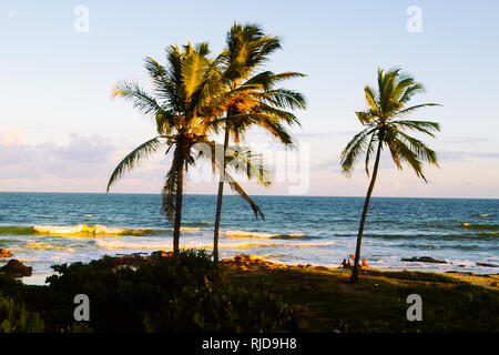 Itapua Strand in Salvador, Brasilien. Stockfoto