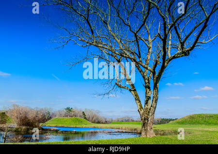 Die Sonne auf einem der 26 Indian Mounds, die bei den archäologischen Park Moundville in Moundville, Alabama entdeckt wurde. Stockfoto