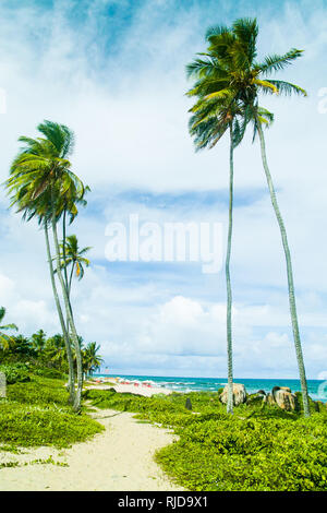 Itapua Strand in Salvador, Brasilien. Stockfoto