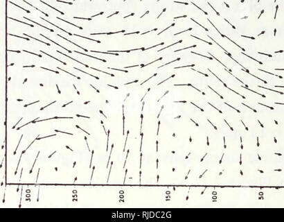 . Änderungen in der Kalifornischen aktuelle System beobachtet aus nördlichen Kalifornien während Juli-August 1986. Meereskunde, Ozeanographie Pacific Coast (Calif); Meeresströmungen im Pazifischen Ozean; Messung; Upwelling (Ozeanographie). 1 N NN v'-r TT7! ^^J"'/y y/? -*' -^^-*. ^. r ist. Bitte beachten Sie, dass diese Bilder sind von der gescannten Seite Bilder, die digital für die Lesbarkeit verbessert haben mögen - Färbung und Aussehen dieser Abbildungen können nicht perfekt dem Original ähneln. extrahiert. Beasley, Michael E.; Batteen, Mary L.. Monterey, Kalifornien: US Naval Postgraduate School Stockfoto