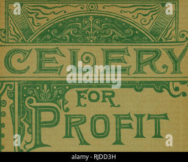 . Sellerie für Profit. Sellerie. [Aus dem alten Katalog]. Preis 30 Cent. ItOpIT. Bitte beachten Sie, dass diese Bilder sind von der gescannten Seite Bilder, die digital für die Lesbarkeit verbessert haben mögen - Färbung und Aussehen dieser Abbildungen können nicht perfekt dem Original ähneln. extrahiert. Greiner, Tuisco, 1846 - [ Vom alten Katalog]. Philadelphia, W. A. Burpce &Amp; Co. Stockfoto
