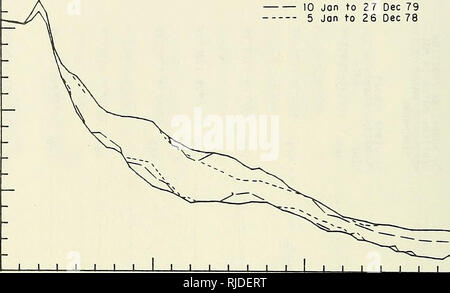 . CERC Feld Forschungseinrichtung Umweltdaten Zusammenfassung, 1977-1979. Meteorologie; U-Boot Topographie. 18 5 - CO3:&gt; Q "ca 0 -5- 10 10 10 Jul 76 bis 27 Dec 79 10 Jan 27 Dez 79 5 Jon auf 26 Dez 78. J I 1 I I L J 1 1 I 1 L 200 400 Abstand von der Grundlinie CM&gt; 600 10 Sep 76 BIS 27 DEZ 79 - 6 Jon zu 28 Dec 77 10. Juli bis 17. Dez. 76. Bitte beachten Sie, dass diese Bilder sind von der gescannten Seite Bilder, die digital für die Lesbarkeit verbessert haben mögen - Färbung und Aussehen dieser Abbildungen können nicht perfekt dem Original ähneln. extrahiert. Miller, H. Carl; Küsteningenieurwesen Ennung Stockfoto