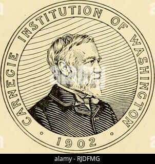 . Höhle Wirbeltiere von Amerika; eine Studie bei degenerativen Evolution. Höhle Tiere; Heteropygii. Höhle WIRBELTIERE VON AMERIKA EINE STUDIE BEI DEGENERATIVEN EVOLUTION VON CARL H. EIGENMANN Professor für Zoologie, Indiana University. WASHINGTON, DC von der Carnegie Institution in Washington im Juni 1909 veröffentlicht. Bitte beachten Sie, dass diese Bilder sind von der gescannten Seite Bilder, die digital für die Lesbarkeit verbessert haben mögen - Färbung und Aussehen dieser Abbildungen können nicht perfekt dem Original ähneln. extrahiert. Eigenmann, Carl H., 1863-1927. Washington, D.C., Carnegie Institution war Stockfoto