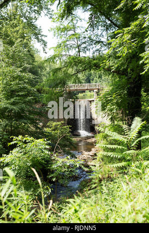 Der Bass Teich Wasserfall auf dem Gelände des Biltmore Estate in Asheville, North Carolina, USA. Stockfoto