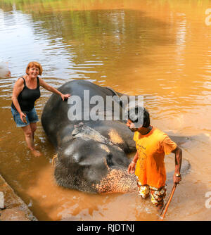 Weibliche Touristen- und mahout waschen Elefant an Dudhsagar Wasserfälle, Meer von Milch, Mandovi Fluss, Goa, Indien Stockfoto