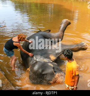 Weibliche Touristen- und mahout waschen Elefant an Dudhsagar Wasserfälle, Meer von Milch, Mandovi Fluss, Goa, Indien Stockfoto