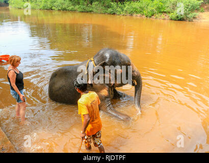 Weibliche Touristen- und mahout waschen Elefant an Dudhsagar Wasserfälle, Meer von Milch, Mandovi Fluss, Goa, Indien Stockfoto