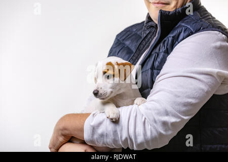 Horizontale Portrait von Stattlichen fröhliche Mann hält Jack Russell terrirer, hat mich Ausdruck Stockfoto