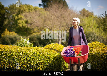 Gerne ältere Frau Spaß im Garten in ihrem Hinterhof. Stockfoto