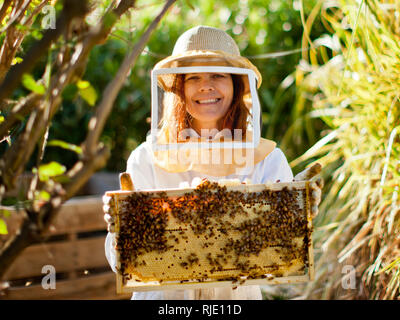 Porträt einer Mitte der erwachsenen Frau in der Imker Kleidung Anheben in einem Bienenstock. Stockfoto