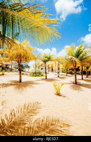 Tolle Aussicht auf Coroa Vermelha Strand in Porto Seguro in Brasilien. Stockfoto