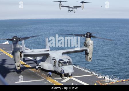 Atlantik (Jan. 31, 2012) Eine MV-22 Osprey tiltrotor Aircraft landet an Bord der Amphibisches Schiff USS Kearsarge (LHD3) während der Übung Bold Alligator 2012. Bold Alligator 2012 ist die größte Naval Amphibious Übung in den letzten 10 Jahren und stellt die Navy und Marine Corps "Revitalisierung der vollständigen Palette von Amphibischen Operationen. Die Übung konzentriert sich auf die heutigen Kampf mit der heutigen Kräfte, während die Vorteile der Sea basing. Diese Übung statt, Jan. 30 bis Feb.12, 2012 Wasser und an Land in und um Virginia und North Carolina. Stockfoto