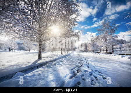 Winter Bergkulisse der Straßen im Park mit verschneiten Bäumen Stockfoto