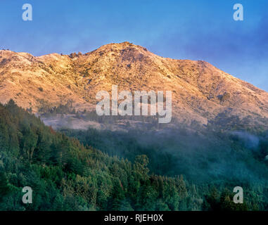 Seltene Schneefall, Mount Tamalpais, Marin County, Kalifornien Stockfoto