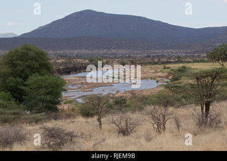 Szenischen der Ewaso Ngiro River, Shaba National Reserve, Kenia Stockfoto