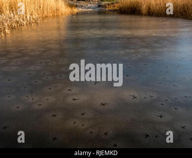 Warmes Wasser aus unter Schnee Eis fließt durch das Loch im Eis bedeckt, schmilzt der Schnee und die Macht der dunklen Regionen': See Sterne. Konvektion erstellt das Muster. Stockfoto