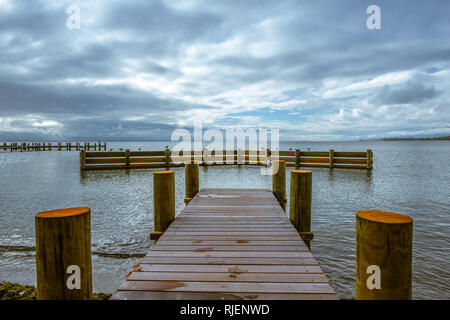 Möwen auf einem Steg am Wasser entlang der Ufer des Genfer Sees, Preverenges, Schweiz Stockfoto