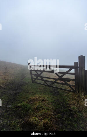 Teil geöffnet Holz- Bauernhof Tor zum Feld in einem Winter nebligen Tag in Lancashire, England gesehen Stockfoto