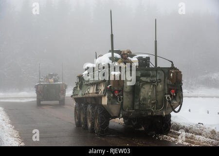 Us-Soldaten auf das erste Geschwader zugewiesen, zweite Cavalry Regiment "Krieg Eagles", Einführung von 35 Baumholder Manöver, für einen situativen Übung in einem Stryker Infanterie Trägerfahrzeug. Baumholder, Deutschland am 01 Februar, 2019 (U.S. Armee Foto durch visuelle Information Specialist, Rüdiger Hess/Freigegeben) Stockfoto