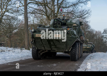 Soldaten zu Bravo Truppe, 1.Staffel, 2d-Cavalry Regiment aus Vilseck, Deutschland zugewiesen, für eine Live Fire Übung auf Palette 35 an der Truppenübungsplatz Baumholder, Baumholder, Deutschland, Feb 4, 2019 vorbereiten. 1/2CR führt derzeit den Betrieb Kriegsadler platoon-taktischen Kenntnisse, squadron Unterstützung Wirksamkeit und die gesamten organisatorischen Letalität zu entwickeln. (U.S. Armee Foto von Erich Backes). Stockfoto