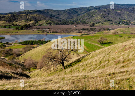 Panoramablick auf die Lagune Valley Park in Vacaville, Kalifornien, USA, mit dem chaparral im Winter mit grünem Gras und einen See Stockfoto