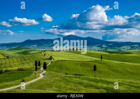 Panoramablick auf die Luftaufnahme auf eine typische hügelige Toskanische Landschaft im Val d'Orcia mit Felder, Bäume, Zypressen und einem Bauernhaus Stockfoto