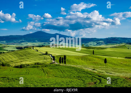 Panoramablick auf die Luftaufnahme auf eine typische hügelige Toskanische Landschaft im Val d'Orcia mit Felder, Bäume, Zypressen und einem Bauernhaus Stockfoto