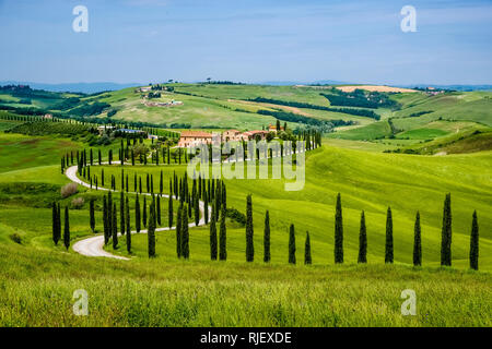 Panoramablick auf die Luftaufnahme auf eine typische hügelige Toskanische Landschaft im Val d'Orcia mit Felder, Bäume, Cypress Avenue und einem Bauernhaus Stockfoto
