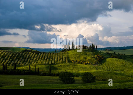 Typische hügelige Toskanische Landschaft im Val d'Orcia mit der Bauernhof Podere Belvedere auf einem Hügel, Felder, Zypressen und Olivenbäumen, dunkle Gewitterwolken Stockfoto