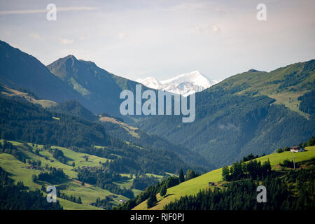 Überwucherte texturierte Peak in den bayerischen Alpen im Sonnenlicht Stockfoto