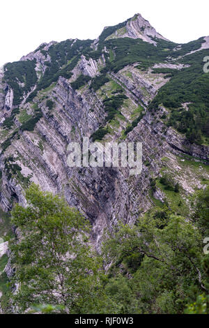 Überwucherte texturierte Peak in den bayerischen Alpen im Sonnenlicht Stockfoto