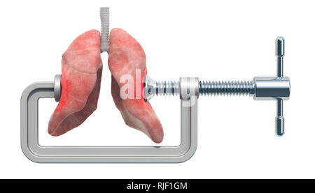 Schmerzen in der Lunge, Lungen Krankheit Konzept. Schraubstock mit menschlichen Lunge. 3D-Rendering auf weißem Hintergrund Stockfoto