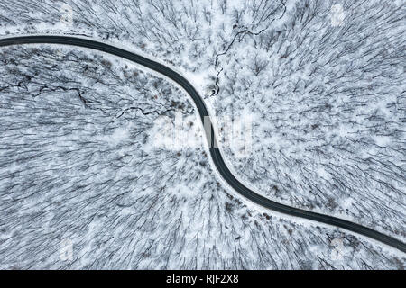 Winter Wicklung asphaltierte Straße in den Wald. Antenne drone oben anzeigen Stockfoto