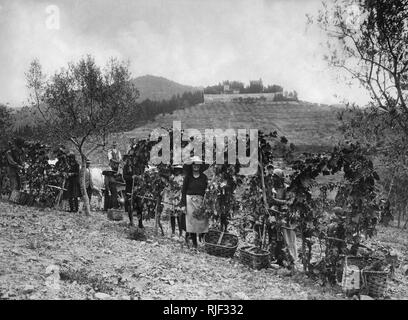 Europa, Italien, Toskana, Gaiole in Chianti, Bauern bei der Ernte in brolio, 1930 Stockfoto