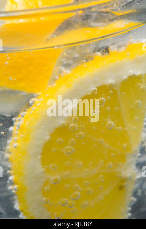 Eine Scheibe Zitrone in einem Glas Gin und Tonic, mit kalorienarmen Indian Tonic Water und Eiswürfel. England UK GB Stockfoto