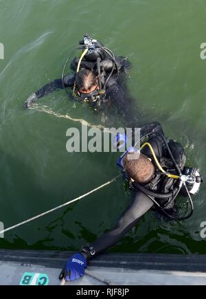 MINA SALMAN PIER, Bahrain (Jan. 24, 2013) Navy Diver 3. Klasse Tschad Crawford, auf Mobile Tauchen und Bergung (MDSU) 2, 2-2, das Wasser bei einer routinemässigen Anti-terror-Force Protection tauchen in zugeordnet. MDSU 2 ist es, Commander, Task Group 56.1 zugewiesen, die Förderung der Mine Countermeasure, Beseitigung von Explosivstoffen, bergung Tauchen und Schutz in den USA 5 Flotte Verantwortungsbereich. Stockfoto