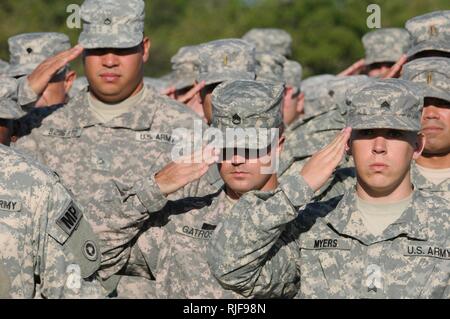 Guantánamo Bay, Kuba - Joint Task Force Guantanamo Soldaten salute während "Farben" auf Cooper Feld, Nov. 16, 2010. Stockfoto