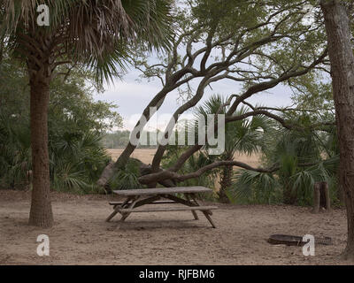 Edisto Island State Park, South Carolina primitive Campingplatz. Stockfoto