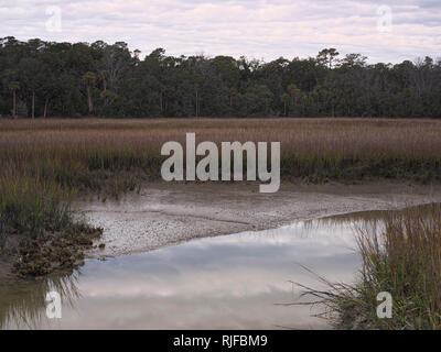 Edisto Island State Park, South Carolina. Gezeiten Salzwiesen. Stockfoto