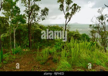 Castle Hill aus der Ferne zu sehen, Szenen aus einem Spaziergang am Elliot Federn, Moongun Wanderweg am Elliot Federn, Townsville, Queensland, Australien Stockfoto