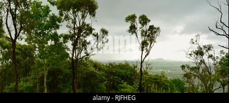 Castle Hill aus der Ferne zu sehen, Szenen aus einem Spaziergang am Elliot Federn, Moongun Wanderweg am Elliot Federn, Townsville, Queensland, Australien Stockfoto