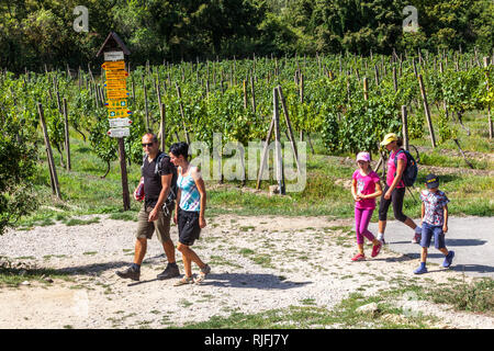 Weinberg Sobes, Familie auf einer Reise zwischen Weinbergen im Podyji-Nationalpark, Südmähren, Mährische Weinstraße der Tschechischen Republik Stockfoto