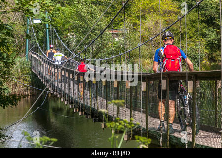 Radfahrer auf eine Reise Fahrt auf der Brücke über die Thaya im Nationalpark Podyji, Südmähren, Tschechische Republik Stockfoto