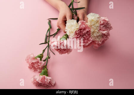 7/8 Schuß von Frau mit schönen weißen und rosa Nelke Blumen auf Rosa Stockfoto