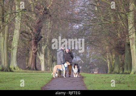 Northampton. Großbritannien 6. Februar 2019. Abington Park. Zwei Männer zu Fuß ihre Hunde nach dem Nebel gelöscht hatte, stand in einem Chat in die Allee der Bäume, während die Hunde geduldig warten. Credit: Keith J Smith./Alamy leben Nachrichten Stockfoto