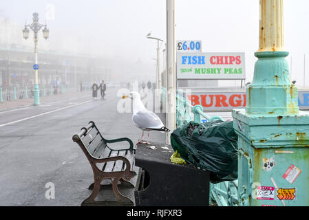 Brighton UK 6. Februar 2019 - Die Sonne durch den Nebel kämpfen auf Brighton Seafront heute als milderes Wetter breitet sich über Großbritannien nach der jüngsten Kältewelle: Simon Dack/Alamy Leben Nachrichten brechen Stockfoto