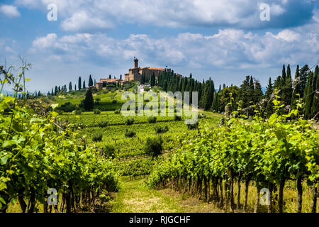 Typische toskanische Landschaft mit Hügeln, Weinbergen, Bauernhaus und eine Cypress Avenue Stockfoto