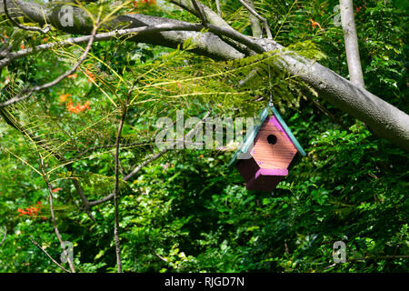 Holz Vogelhaus hängend an einem Ast mit grünem Laub Hintergrund Stockfoto