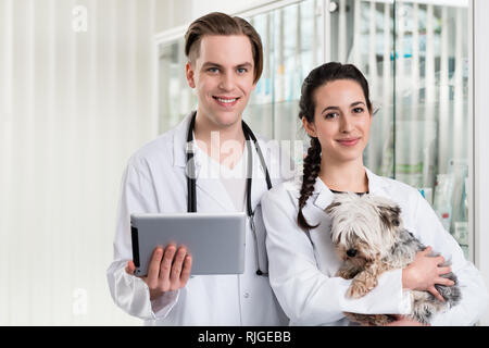 Gerne männliche und weibliche Tierarzt Holding kranken Welpen und digitale Tablet in der Klinik Stockfoto